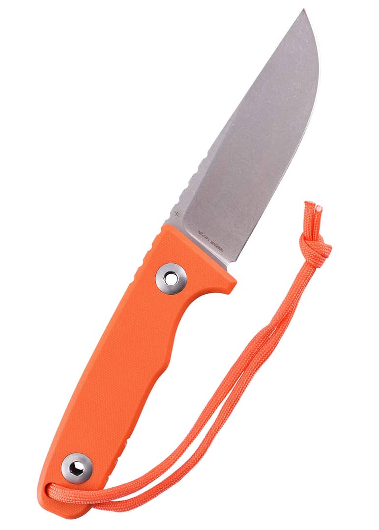 1004_Schnitzel_TRI_orange_2