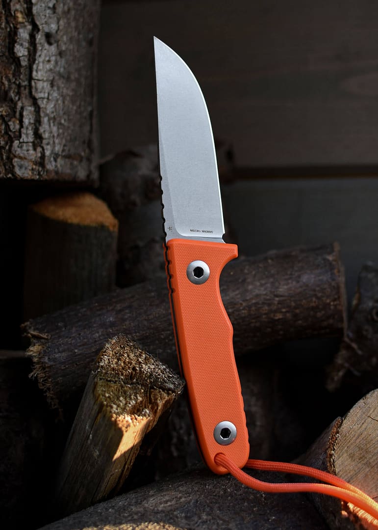 1004_Schnitzel_TRI_orange_9